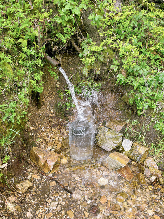 All About Spring Water